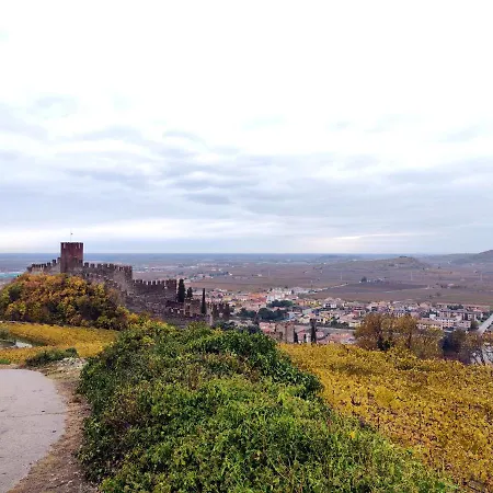 Stanza Allegra Soave (Verona)