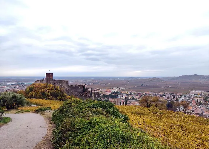 Stanza Allegra Soave (Verona)